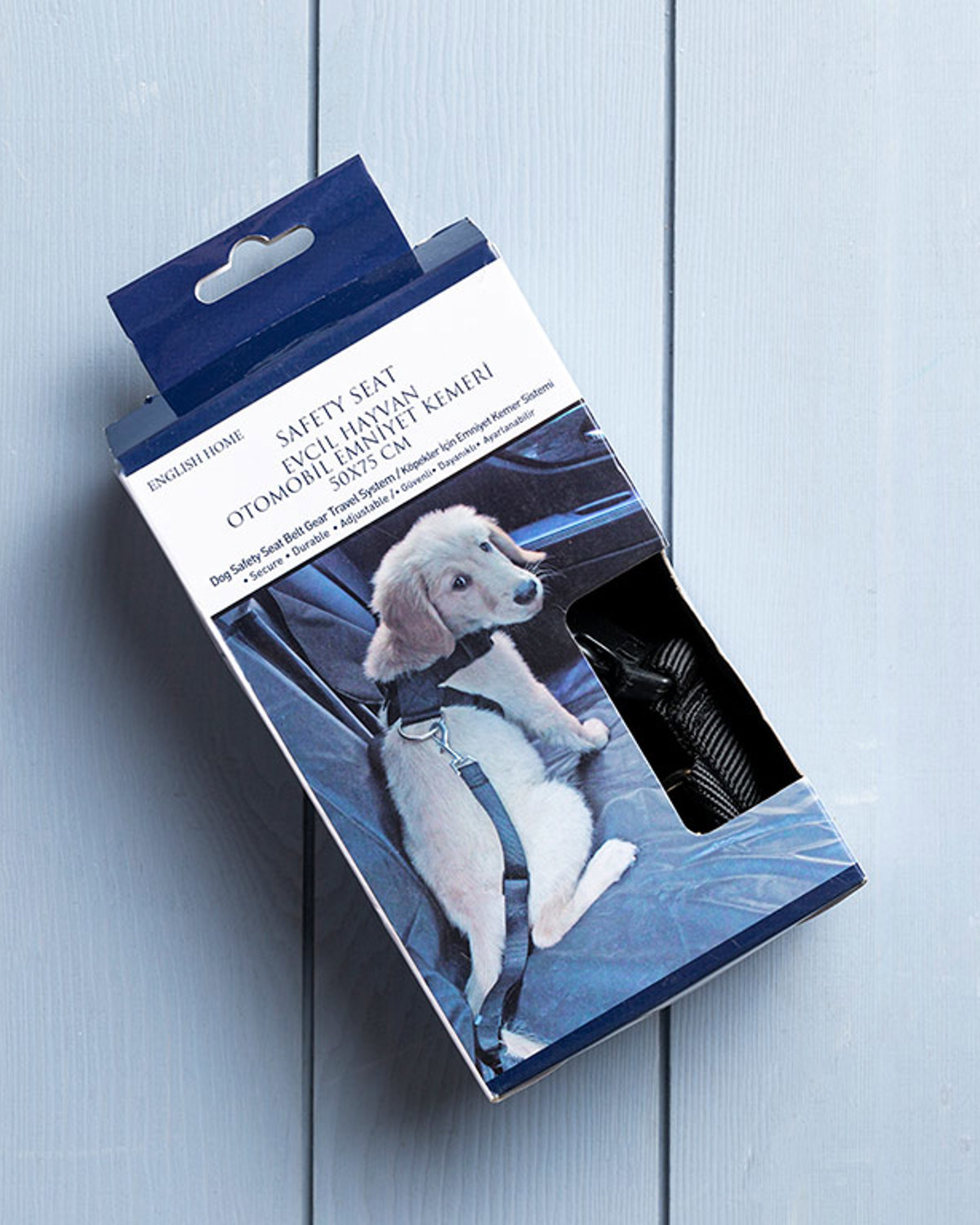 Görsel